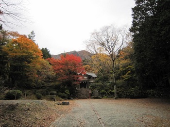 97金時山を背景に金時神社.JPG